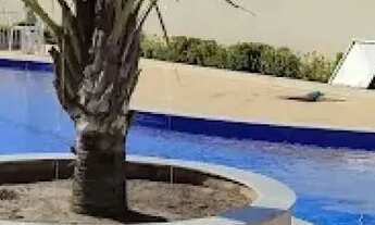 Imagem 6: Apartamento com 2 quartos, sendo um suíte no Residencial Horto da Barra - 204590 [9210