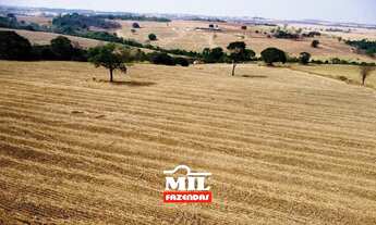 Imagem 7: Chácara bem localizada e com grande potencial de produção