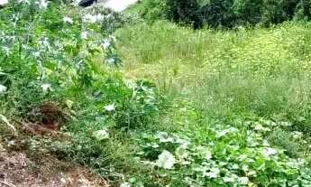 Imagem 3: CAXIAS DO SUL - Terreno Padrão - NOSSA SENHORA DAS GRAÇAS