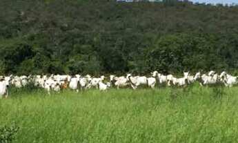 Imagem 5: Fazenda Caldas novas