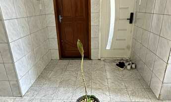 Imagem 3: Apartamento Apartamento com 2 dormitórios