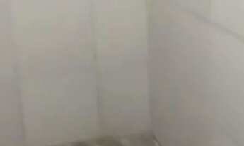 Imagem 4: Aluga-se casa no curado 1