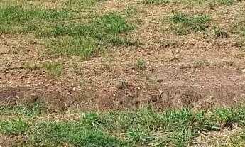 Imagem 7: Vende-se lote um ágio de um lote no Setor Lago Sul - Caldas Novas - GO