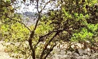 Imagem 2: Oportunidade! Chácara no Valparaíso