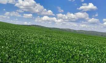 Imagem: Fazenda de 350 alqueires, (840 hectares)