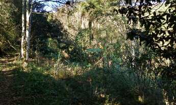 Imagem 5: Chacara para alugar em Extrema MG