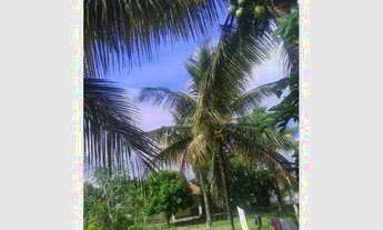 Imagem 4: Casa à venda com 5 dormitórios em Por do sol, Serrinha cod:126021