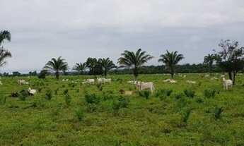 Imagem: Porteira fechada 400 hectares no Pará pronta