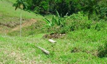 Imagem 4: VENDO EXCELENTE SÍTIO EM PIAU/MG (Ler a descrição completa