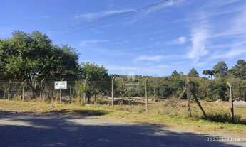 Imagem 4: Terreno à venda, 5940 m² por R$ 490.000,00 - Chácara Esperança - Pinhais/PR