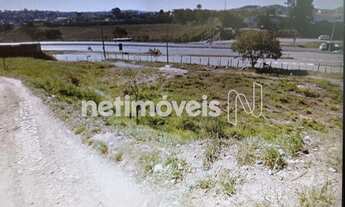 Imagem 4: Venda Lote-Área-Terreno Palmeiras Belo Horizonte