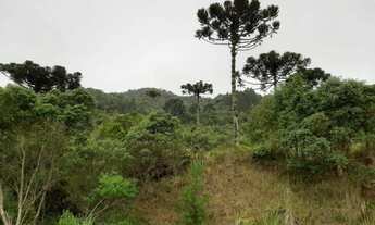 Imagem 7: Área em Rancho Queimado SC