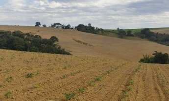 Imagem 2: Terreno com 12 alqueires - Araçoiaba da Serra