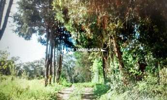 Imagem 1: São Paulo - Terreno Padrão - JARDIM D'ABRIL