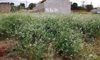 Imagem 2: Terreno em frente a Praça no Heimtal