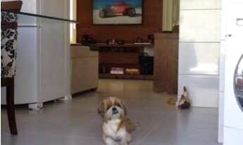 Imagem 5: Casa com 2 dormitórios à venda, 80 m² por R$ 320.000,00 - Bela Vista - Palhoça/SC