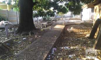 Imagem 5: Casa à Venda - Alto dos Pinheiros, 518 m²