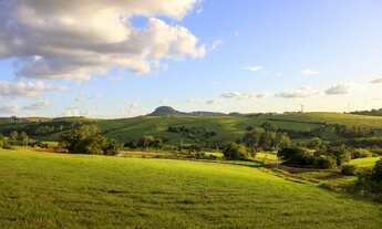 Imagem: Chácara em São Leopoldo com 3100m²