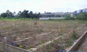 Imagem: AREA - PORTÃO - SP