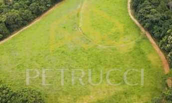 Imagem 5: Terreno - Parque São Quirino - Campinas