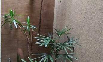 Imagem 4: Sobrado com 3 dormitórios à venda, 138 m² - Vila Valparaíso - Santo André/SP