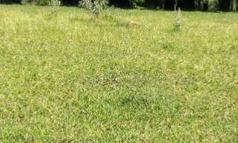 Imagem 5: Vendo terreno em Atibaia 500m Bairro do tanque