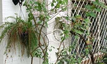 Imagem 6: Casa com 4 dormitórios à venda, 279 m² - Pacaembu - São Paulo/SP