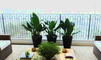 Imagem 3: APARTAMENTO - BROOKLIN PAULISTA - SP