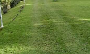 Imagem 5: VENDA Chácara com venda por R$1.200.000