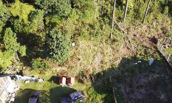 Imagem 3: Gramado - Terreno Padrão - Moura