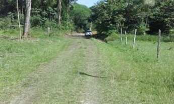 Imagem 6: Terreno Em Mosqueiro