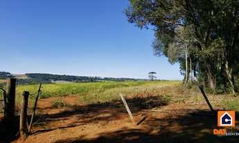 Imagem 5: Chácara à venda em IPIRANGA para plantio