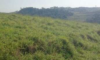 Imagem 11: V03-Lote/Terreno para venda com 500 metros quadrados