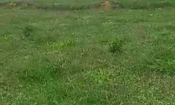 Imagem 4: Fazenda com casa sede e casa de caseiro à venda