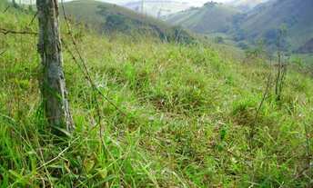 Imagem 7: VENDO EXCELENTE SÍTIO EM PIAU/MG (Ler a descrição completa