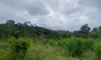 Imagem 6: Terreno à venda, 1332 m² por R$ 350.000,00 - Tesouro da Colina - Ilhabela/SP