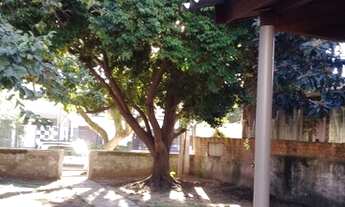 Imagem 7: Porto Alegre - Terreno Padrão - Sarandi