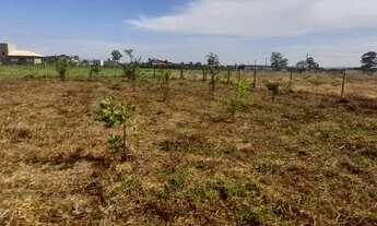 Imagem 2: Lote em Condomínio de Chácaras Terra Santa Monte Sinai 1748m²