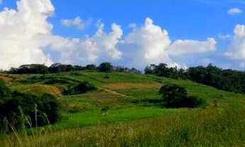 Imagem 6: 11o- terreno para chácara direto com o proprietário