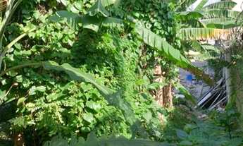 Imagem 3: Terreno Plano 120m²