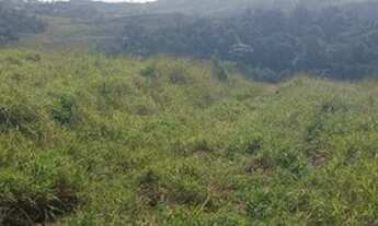 Imagem 8: V03-Lote/Terreno para venda com 500 metros quadrados