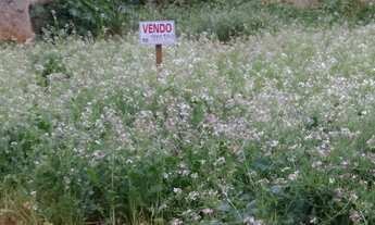 Imagem 3: Terreno em frente a Praça no Heimtal