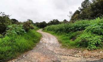 Imagem 2: RIO NEGRO - VILA PARANA - Oportunidade Única em RIO NEGRO - PR | Tipo: Gleba Urbana