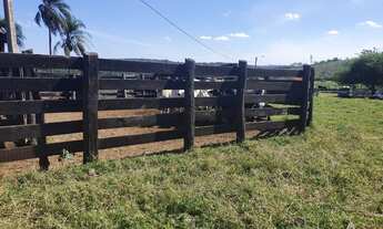 Imagem: Fazenda à venda