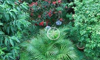 Imagem 2: Casa com 4 dormitórios à venda, 279 m² - Pacaembu - São Paulo/SP