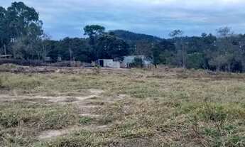 Imagem 5: Fazenda/sítios/chácaras com 1 dormitório à venda em Ribeirão Das Neves