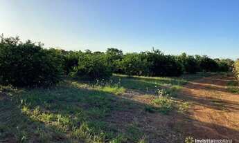 Imagem 7: Fazenda Plantando 500 Hectares em Porto Nacional/TO