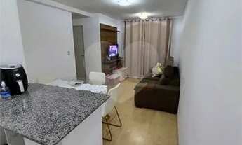 Imagem 5: Lindo Apartamento Jaraguá