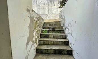 Imagem 6: Casa para Comércio ou Residência no Caminho das Árvores