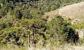 Imagem 7: Terreno em Campos do Jordao SP